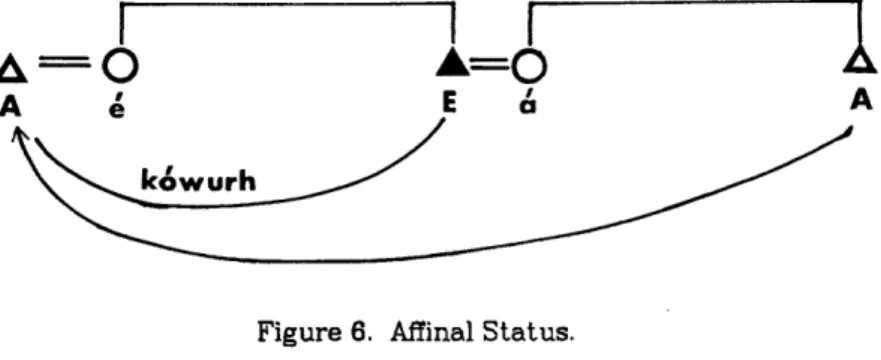 Figure  6.   Affinal  Status.