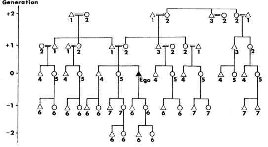 Figure  1.  Satawalese  Kinship  Terminology. 
