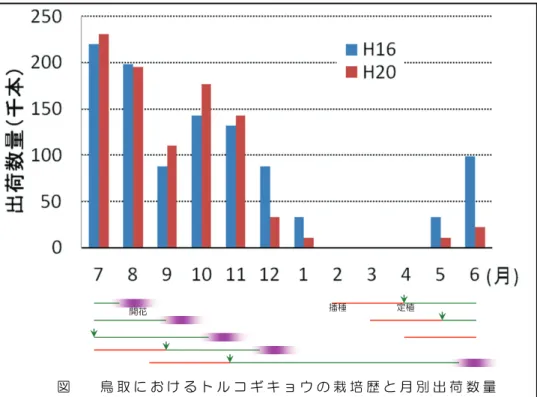 図 鳥 取 に お け る ト ル コ ギ キ ョ ウ の 栽 培 歴 と 月 別 出 荷 数 量定植開花播種 光 照 射 試 験(独)花き研究所より･･･一日没後数時間草種により気温・光の感受性が高まる新知見