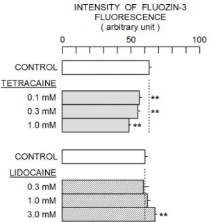 Figure  2.  Effects  of  1  mM  tetracaine  and  3  mM  lidocaine  on  the  intensity  of  FluoZin-3  fluorescence  in the presence of a Zn 2+  chelator