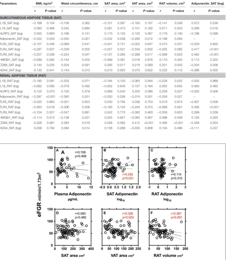 TABLE 3 | Spearman correlation analysis between levels of adipocytokines expression in subcutaneous and renal adipose tissue and adiposity indices.