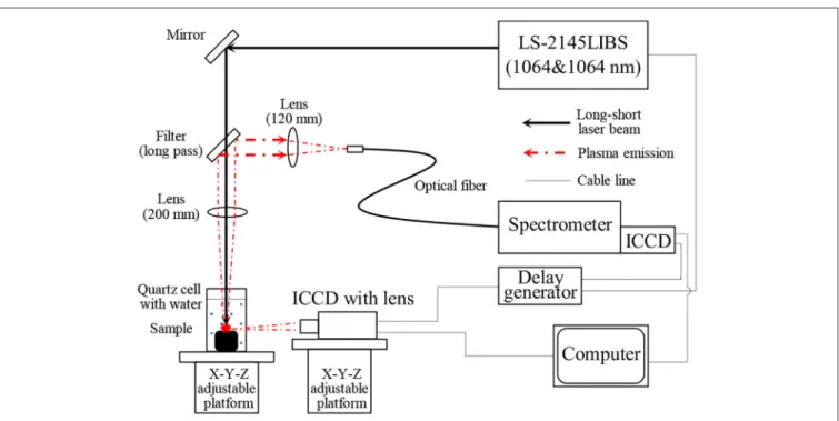 FIGURE 2 | Experimental setup of LIBS system for underwater measurement.
