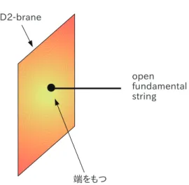 図 1.5: D2-brane と open fundamental string の端 のが 2-brane を意味します。 p-brane ←→ p 次元分空間に広がりを持った object 0-brane ←→ particle 1-brane ←→ string 2-brane ←→ membrane