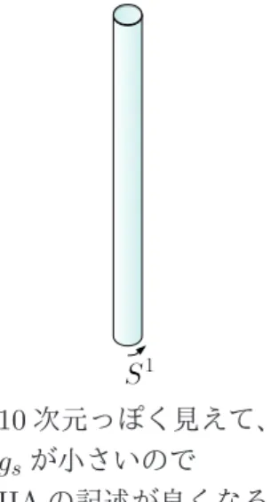 図 3.1: S 1 半径と string coupling