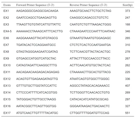 表 PCR に用いたプライマー