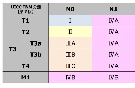 表  UICC TNM 分類【第 7 版】病期(Stage)のマトリクス《肝細胞癌》 