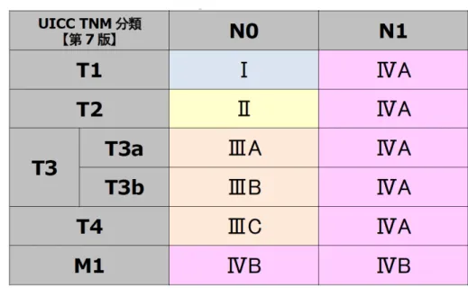 表  UICC TNM 分類【第 7 版】病期(Stage)のマトリクス《肝細胞癌》 