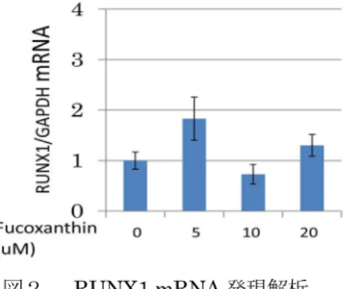 図 1    RUNX1 タンパク質発現解析        図２    RUNX1 mRNA 発現解析 