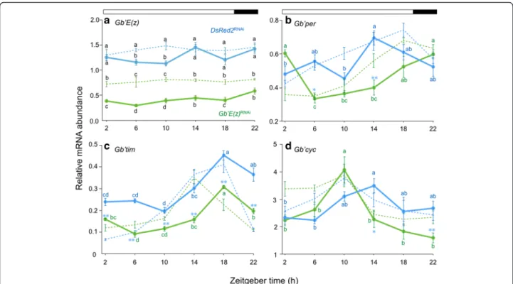 Fig. 4 Daily expression profiles of Gb ’ E(z) and clock genes in the optic lobe of the cricket Gryllus bimaculatus under LD 20:4