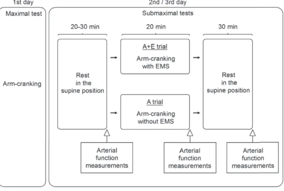 Fig. 2　Subject performing A+E （arm-cranking with electri- electri-cal muscle stimulation exercise） trial.
