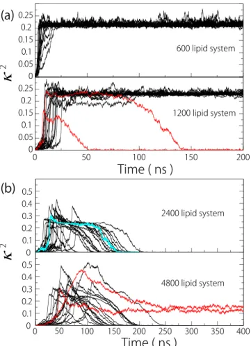 Figure 4 shows the relationship between R io  and the radius of gyration tensor R g  for the 1200, 2400 and 4800  lipid systems