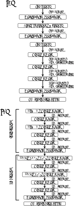 Fig. 3.  A schematic viewgraph of the procedure of  running water cleaning. (a) The “Full-course with  running water” cleaning