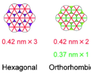 Fig. 2 Hydrocarbon-chain packing structure in intercellular lipid matrix. There are two kinds of packing: One is hexagonal and the other is orthorhombic.
