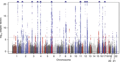 Fig. 3 Manhattan plot for the trans-ethnic meta-analysis of SUA. The horizontal line represents the genome-wide signi ﬁ cance level (log 10 (Bayes ’ factor) = 6)