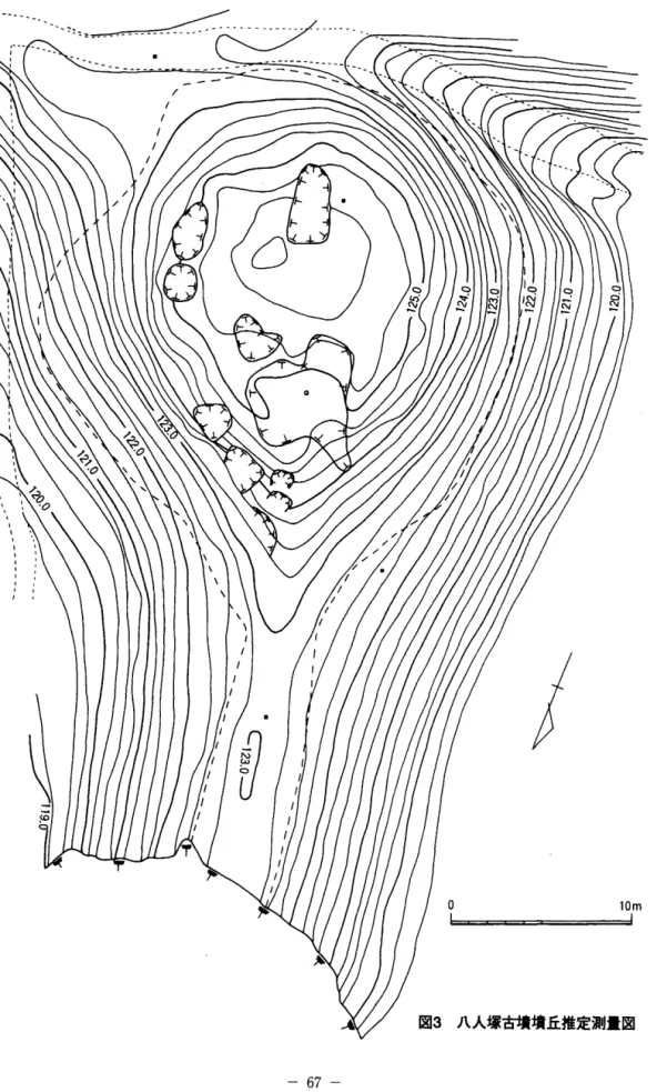 図 ω  ﹀﹀錨時蔵鶴岡・帯尚謹陣図