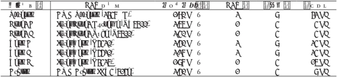 表 2: 使用した各計算機のシステム構成と接続している記録装置数