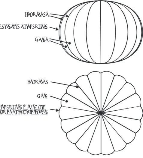 図 1　lobed-pumpkin 型 SPB の形状Load rop es