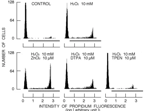 Fig. 2.  Cell lethality of H 2 O 2 -treated cells in simultaneous presence of ZnCl 2 , DTPA, or TPEN.