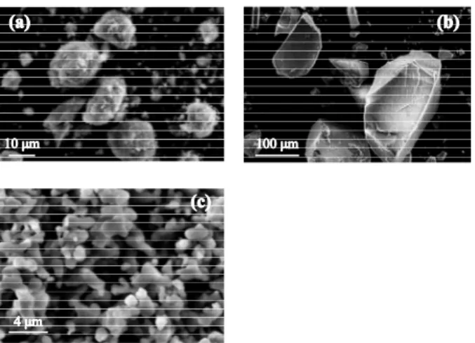 Fig. 2 shows the SEM images of HAp(1.67),  HAp(1.50), and β-TCP.  It was evident that the  stoichiometric HAp(1.67) was roughly spherical (Fig