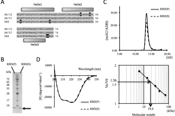 Figure 1. The RBD protein experiments. 