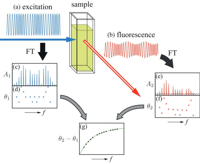 Figure 1 sample(a) excitation(b) fluorescenceFTFTf(g)f(c)(d)f(e)(f)