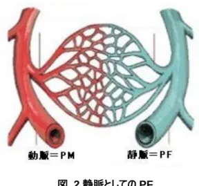図  2 静脈としての PF  近年，プロジェクトの成功が，PM のみならず PF にも掛かっているのではないか，と気づいている人たち がいます．ソフトウェア開発プロセスの分野で例を挙げましょう．  ソフトウェア開発と PF  これまで，ソフトウェア開発プロセスといえば分析や設計，実装，テストの手法とそれらの手順や，成果 物を定義したもの，という管理的で味気ないものでした．しかし，2000 年に発表された Kent Beck による XP および 2004 年の XP 第 2 版[Beck04]では，「コミ