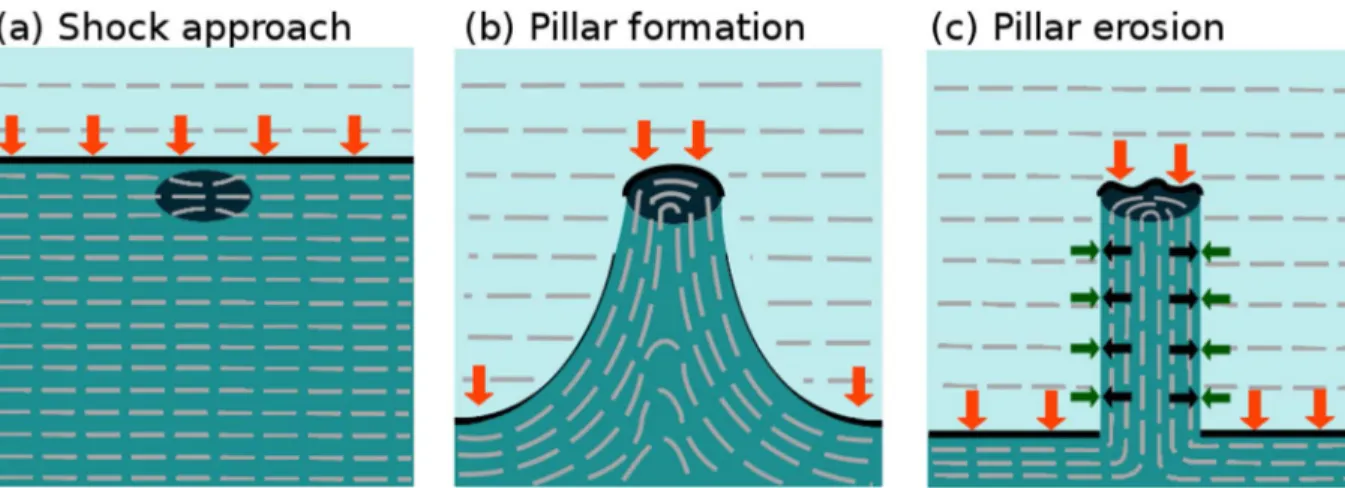 Figure 5. Our proposed evolutionary scenario: ( a ) an ionization front moving perpendicular to the ambient B- ﬁ eld approaches an existing over-density in the molecular gas