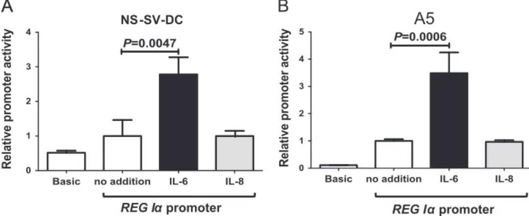 Fig. 2. Luciferase assays in salivary ductal cells. Human NS-SV-DC cells (A) and rat A5 cells (B) were transfected with constructs containing REG Iα promoter