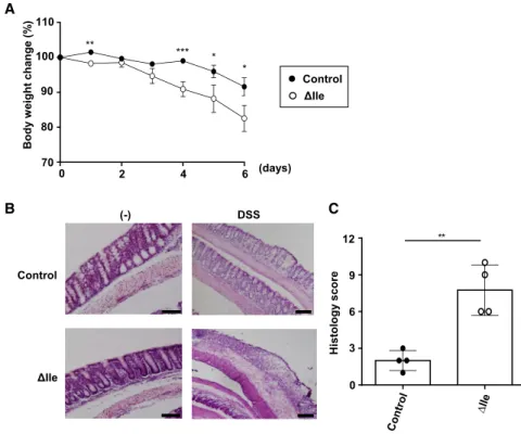 Figure 4. High Sensitivity to Intestinal Inflammation of Mice Fed an  Isoleucine-Reduced Diet