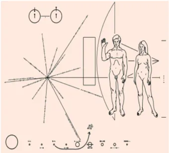 Fig. 2. The Pioneer message. 