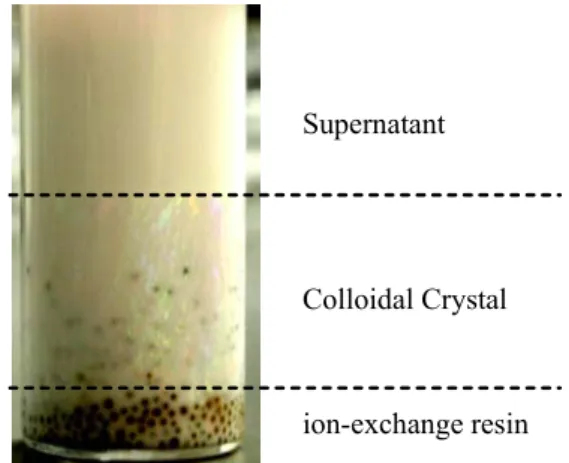 Fig. 4 SEM image of polystyrene particles. 