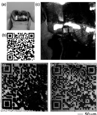 Fig. 19 Data recording on a dental crown. (a) Photograph of the  dental  crown.  (b)  Two-dimensional  barcode