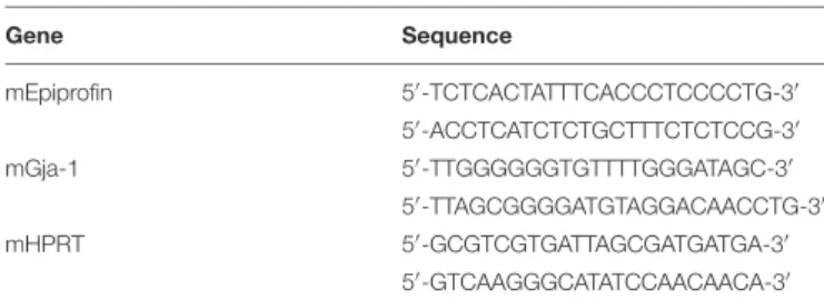 TABLE 1 | Primer sequence using RT-PCR analysis.
