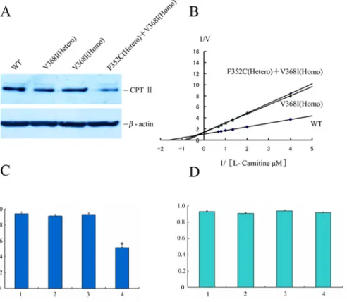Fig 2. CPT II expression and the dominant — negative effect of CPT II variants on substrate-dependent kinetics