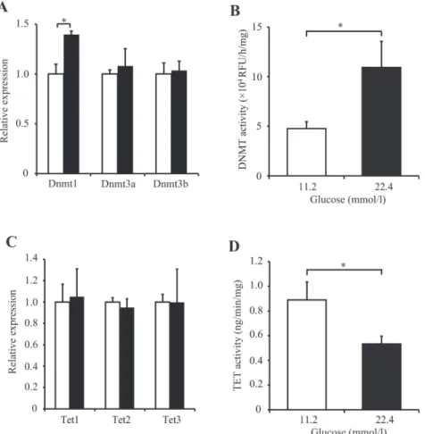 Fig 3. The effect of a high-glucose state on DNMT and TET in INS-1 cells. (A-D) INS-1 cells were cultured under normal-culture-glucose (11.2 mmol/l; white bar) or experimental-high-glucose (22.4 mmol/l; black bar) conditions for 14 days