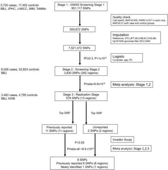 Figure 1.  Study design of a GWAS of uterine leiomyoma. The meta-analysis comprised three stages.