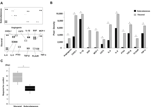 Figure 2.  The differences in the cytokine release patterns between the ADSCs from the subcutaneous and  visceral adipose tissues