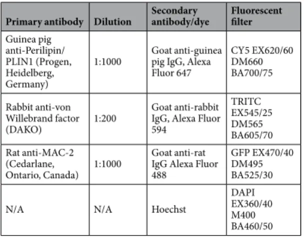 Table 1.  Materials used for immunofluorescence.