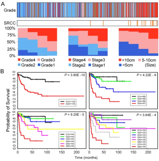 Figure 1.  Validation of continuous linear enhanced assessment of ccRCC (CLEAR) by correlation and  survival analysis