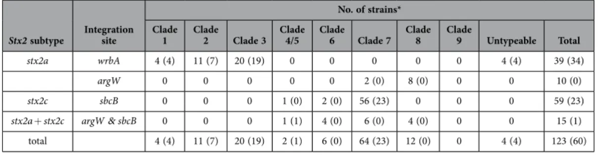 Table 1.   Phylogenetic clades and stx2 subtypes of strains used in this study.  * The number of strains that  have the stx1 gene is indicated in parenthesis.