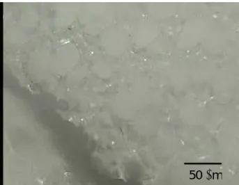 Fig.  2    A  digital  microscope  image  of  the  surface  of  a  PMIBA  gel  freeze-dried  from  the  equilibrium  deswollen  state