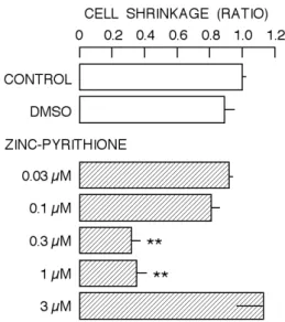 Figure  5.    Dose-dependent  change  in  population  of  shrunken  cells  by  zinc-pyrithione
