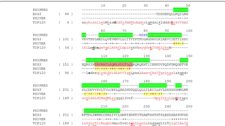 Figure 3 shows the possible interaction sites on BIG3 predicted by PISVER, combined with the results of FUGUE and PSI-PRED analyses (see Additional file 1 for the raw data)