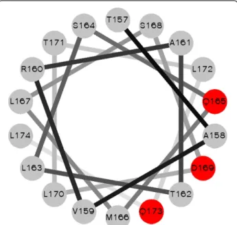 Figure 4 A helical wheel projection of residues 157-174 of BIG3.