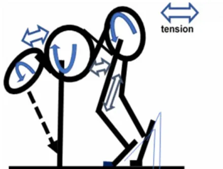 Figure 1: Consciousness of starting posture with the concept of trunk  connection.