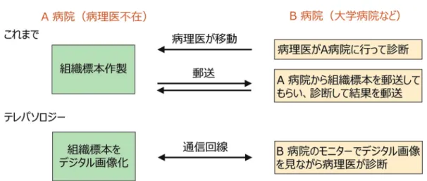 図 4 徳島県病理遠隔診断ネットワーク