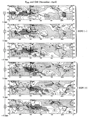 図 1.1.31  MJO の位相別に合成した冬季日本の地上気温偏差