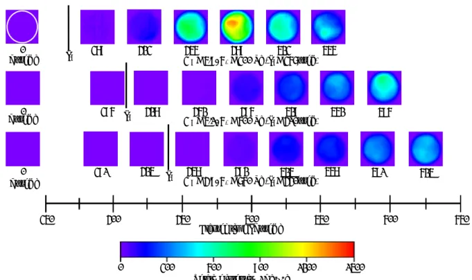 Fig. 5 Time change of relative intensity distributions behind shock waves tRtRtR 0 200 400 600 800 100030060090012001500