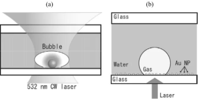 Fig. 2 Au NP heating-induced bubble generation.