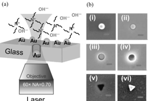 Fig. 8  (a) Concept of plasmonic-heating-induced glass  structuring, (b) i: before irradiation, ii: 10 s, iii: 